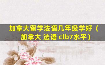 加拿大留学法语几年级学好（加拿大 法语 clb7水平）